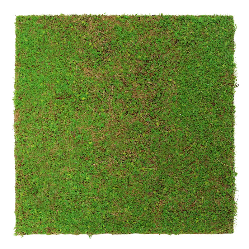 JANGAL Modular Wall Akustik Wandpaneel 520 x 520 x 50 mm Light Green Coconut Naturfaser Pflanzenwand