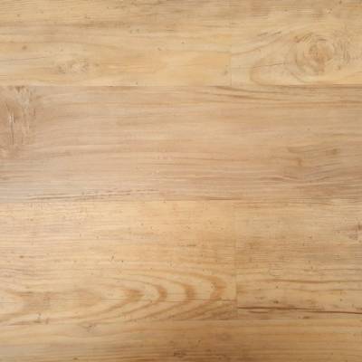 Pinie In Der Raumgestaltung Elva4home